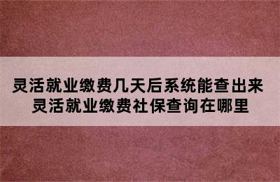 灵活就业缴费几天后系统能查出来 灵活就业缴费社保查询在哪里